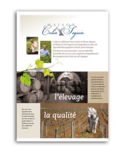 Plaquette Vigneron Bourgogne